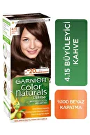 Garnıer Color Nat Re 4.15 Buyuleyıcı Kahve