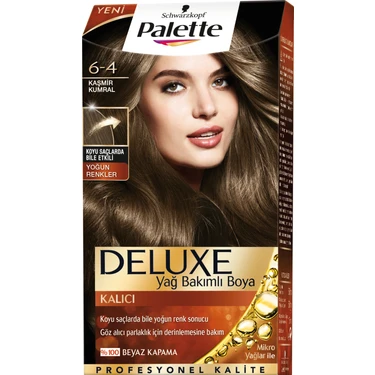 Palette 6-4 Kasmır Kural