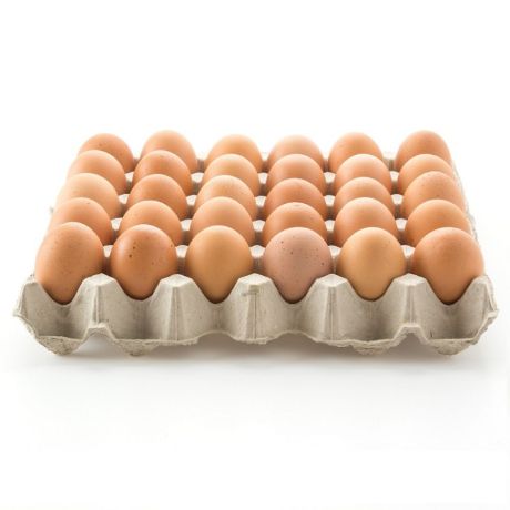 Kırnı Yumurta Ferık 30 Adet